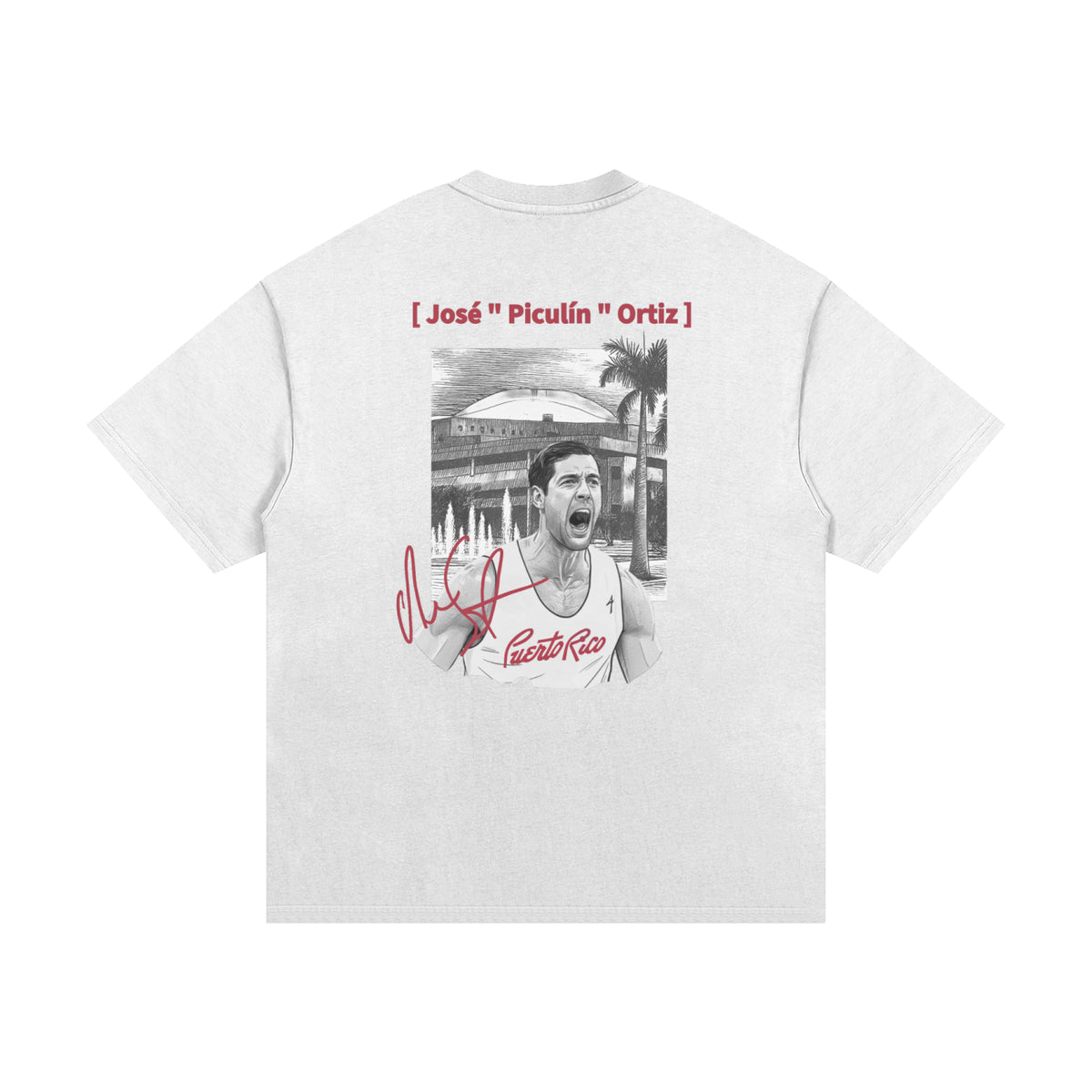 Picu 4 Heritage Heavyweight Cotton T-Shirt